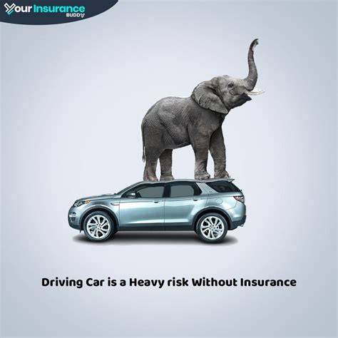 Driving history for the past five years for all drivers on. Elephant Car Insurance Quote Phone Number - Quotes channelquote.com