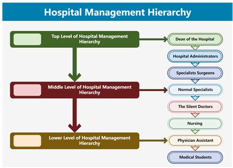 Hospital Organizational Chart Explained With Examples Edrawmax Online