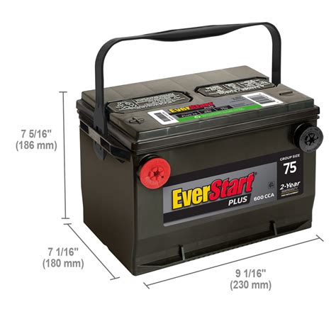 Buy Everstart Plus Lead Acid Automotive Battery Group Size 75 12 Volt