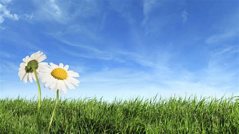 Nature Wallpapers In High Resolution Of Spring Season With