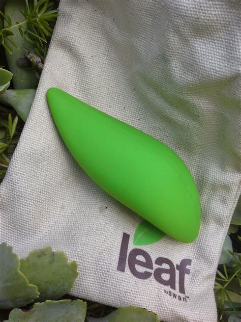 Ashesthekinky Leaf Life Vibrator Review