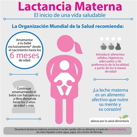 Lactancia materna el inicio de una alimentación saludable infografía