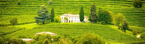 Il portale dedicato al turismo in piemonte. Weine aus Piemont kaufen - Direktimport seit 1907