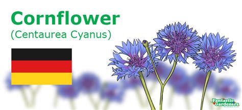 European National Flowers Complete List