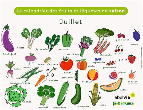 Le Calendrier Des Fruits Et Légumes De Juillet Le Concombre Et L