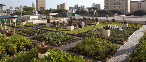 How Rooftop Gardens Can Help Combat Flooding World Economic Forum Rooftop Garden Roof