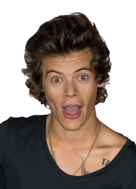 Harry Styles Funny Face Icons Png Free Png And Icons Downloads