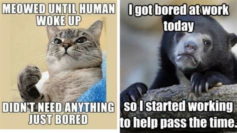 25 bored memes that are so boring they actually stop time memes bored at work funny