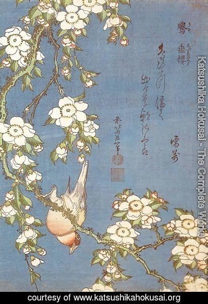 Katsushika Hokusai Weeping Cherry And Bullfinch Painting Reproduction