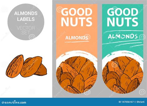 Almonds Product Labels In Pastel Colors With Nut Texture And Brush