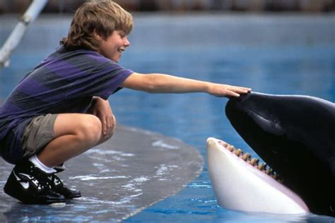 What Is The True Story Behind Free Willy The Movie Based On Keiko The
