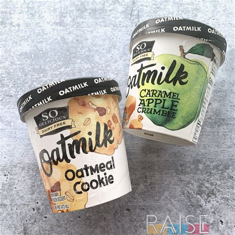 So Delicious Oat Milk Ice Cream Product Review Raise