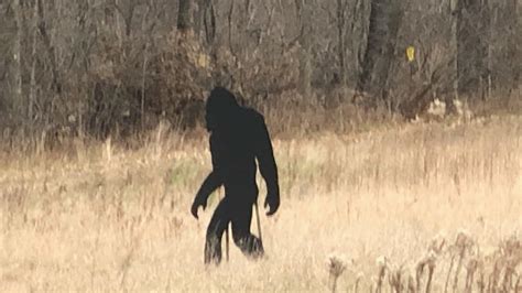 Birmingham Teacher Has Been Hunting Bigfoot For More Than 30 Years