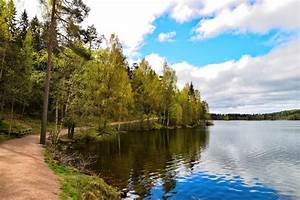 Oslo, Nature, Walks, Forest, To, Fjord, Small, Group, Tour
