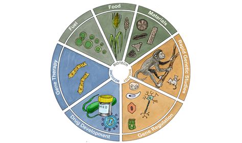 Jun 24, 2021 · another argument for the relevance of animal testing states that some animals are so similar to humans in their genetic and physiological makeup that testing them has every application to our own. Cutting Through the Controversy: CRISPR in Action - SynBioBeta