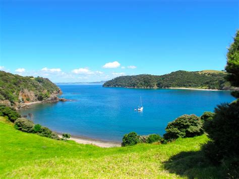 The 10 Best Things To Do In Paihia 2024 With Photos Tripadvisor