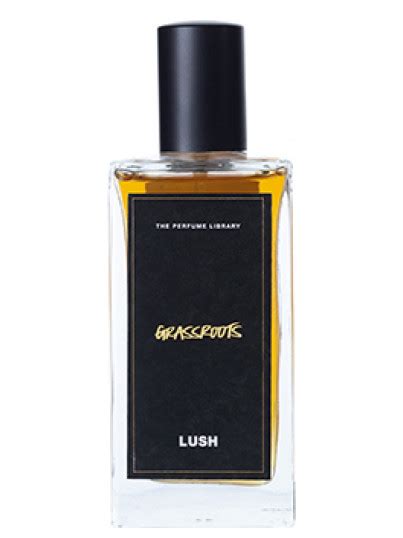 Grassroots Lush Perfume A New Fragrance For Women And Men 2019