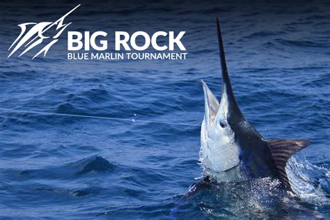 Big Rock Blue Marlin Tournament Schedule 2023 Yachts360