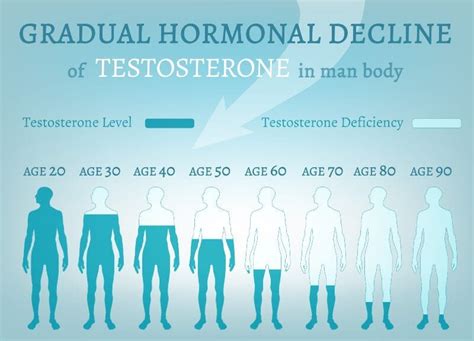 Testosterone Hormone Function In Men Normal Levels