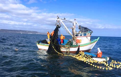 ‘pesca Ilegal Origina Una SequÍa En El Mar Medios Obson