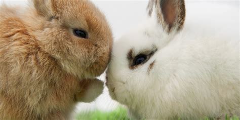 10 Cool Pictures From Instagram That Sum Up Why We Love Easter