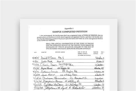 20 Free Petition Examples With Templates And How To Guide