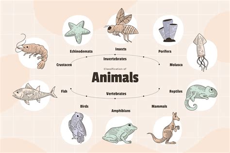 Animal Infographic Vectors And Illustrations For Free Download Freepik