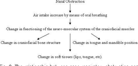 The Effect Of Mouth Breathing Versus Nasal Breathing On Dentofacial And Craniofacial Development
