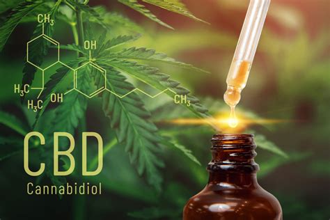 the various benefits of cbd oil that people should know about