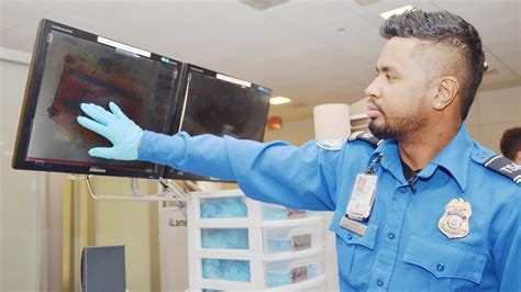 How Do I Get A Job With Tsa - Job Drop