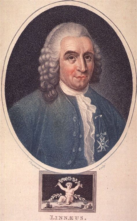 Carolus Linnaeus An Evolution Biography