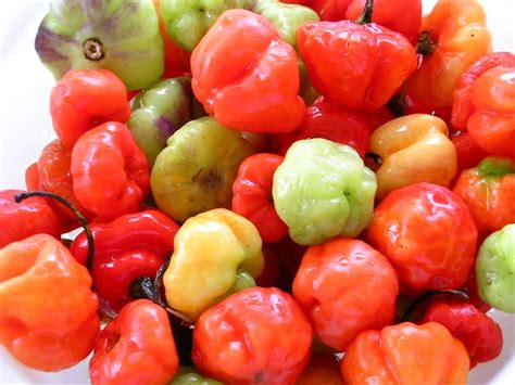 Fresh Ajies Dulces Sweet Peppers With A Distinct Latin Flavor