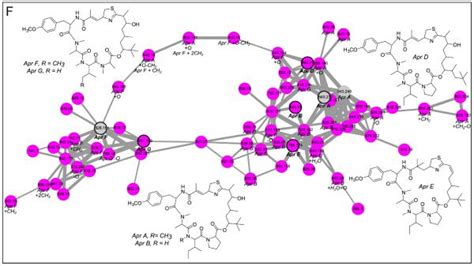 Molecular Networking As A Dereplication Strategy Abstract Europe Pmc