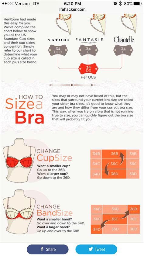 How To Measure Bust Size How To Do Thing