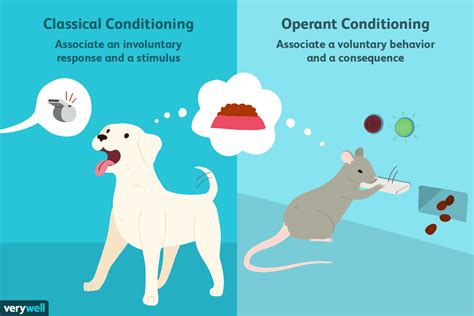 Differences Between Classical Vs Operant Conditioning