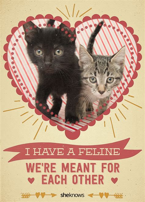 We did not find results for: 12 Kitty-cat Valentine's Day cards that will make you aww