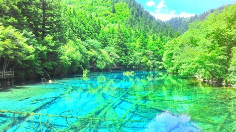 Local Guides Connect Jiuzhaigou Valley，a Must See In Scichaun China