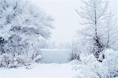 This Winter Free Stock Photo - Public Domain Pictures