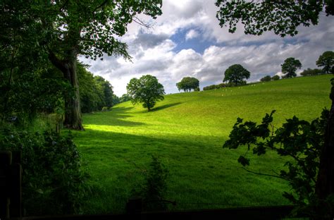 Green Hill With Tree Under White Clouds And Blue Sky During Daytime