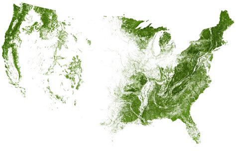 Map Of All The Trees And Forests Flowingdata