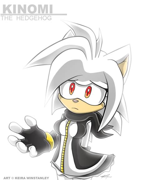 Image T Kinomi The Hedgehog By Keirawinstanleypng Sonicsociety