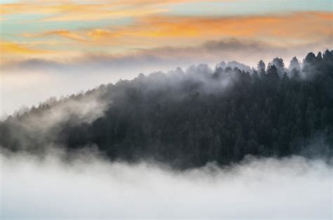 Ridge At Dawn Photograph By Greg Nyquist Fine Art America