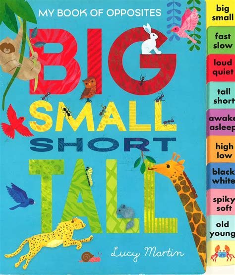 My Book Of Opposites Big Small Short Tall Bookxcess Online
