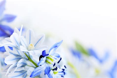 Free delivery to all funeral homes on all items over $69.00. Funeral Wallpapers - Wallpaper Cave