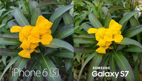 The star studded feature of the iphone 6s and iphone 6s plus has to be the new 3d touch display, which is a rebranded version of force touch, but goes a little above and beyond how the tech. Watch the Samsung Galaxy S7 camera go head-to-head with ...