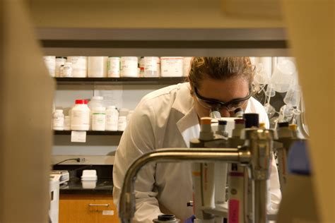 A Closer Look At Cosams Clinical Laboratory Science Program