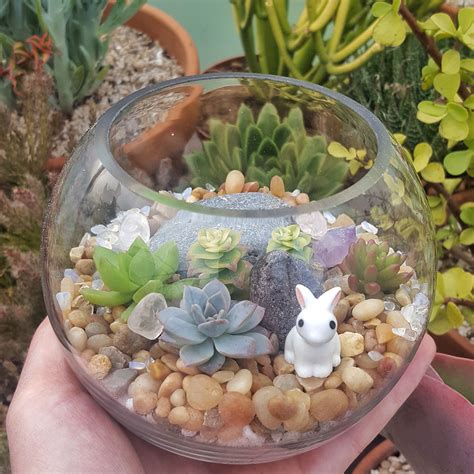 Diy Mini Succulent Terrarium
