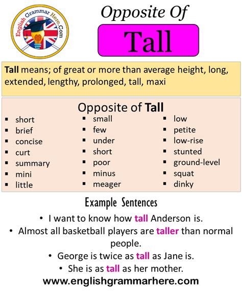 Opposite Of Tall Antonyms Of Tall Meaning And Example Sentences