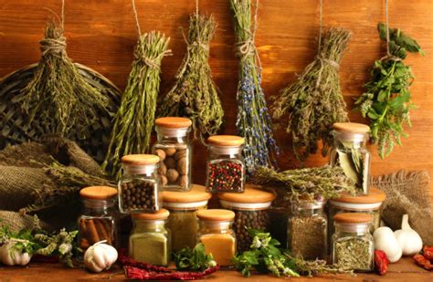 10 Best Herbs For Your Protection And Spiritual Wellbeing Oli And Alex
