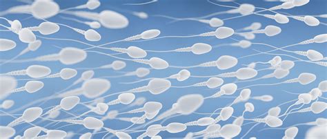 Ivf Using Donor Sperm